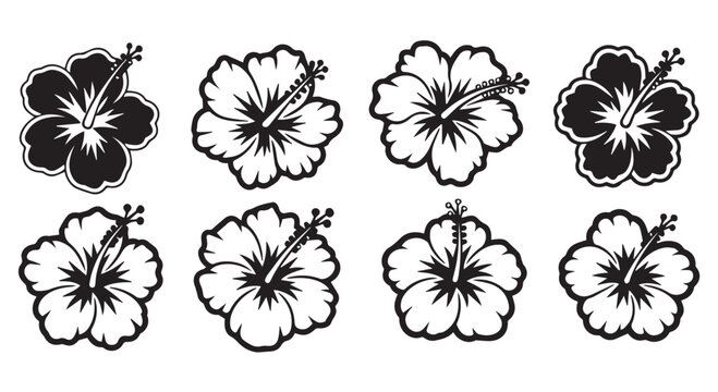 Eight black and white hibiscus flower illustrations on Transparent Background, floral design elements.