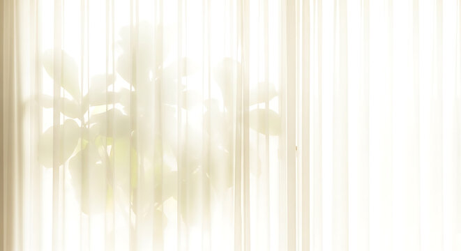 House plants growing on windowsill through the curtain and makes silhouettes.