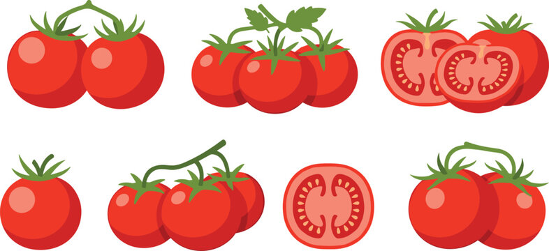 Fresh red tomato vector set. Realistic clusters of ripe cherry tomatoes on vines and sliced tomato cross-sections. Organic vegetable illustrations for grocery and cooking.
