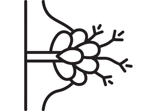 Mammary gland and breast milk ducts line icon showing lobules, nipple and branching lactiferous ducts, minimal medical anatomy illustration isolated on white