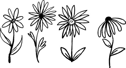 Simple flowers set, hand drawn black ink doodle of various daisy and chamomile flowers. Cute flowers set in sketch style with thin petals and leaves. © Taras
