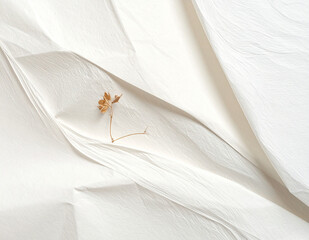 Elegant white paper texture with gentle folds and copy space, clean minimal background for branding or text.