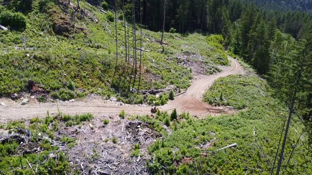 A lone driver on a yellow ATV driving on a trail in f forest. Aerial drone view.