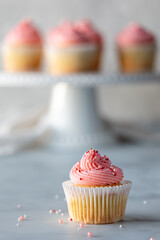 A single vanilla cupcake with pink frosting and sprinkles and more in behind.