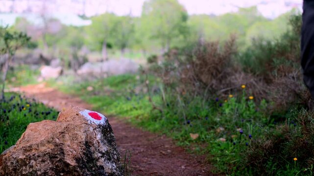 Static shot footage of a man hike on the forest walking next to a hiking sign on the side of the path.