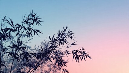 Obraz premium Bamboo silhouette against pastel sky