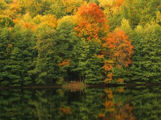 A calm lake reflecting the colorful orange and green trees of an autumn forest. The water surface is still, creating a perfect natural mirror of the landscape.