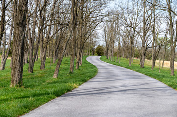 Obraz premium Winding road through winter woods trees grass no leaves