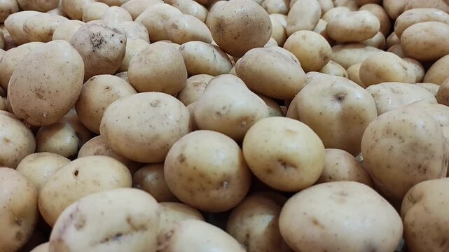 Batatas inglesas frescas e limpas empilhadas em um mercado