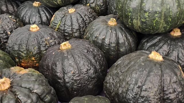 Ab&oacute;boras Caboti&aacute; frescas e maduras empilhadas em mercado