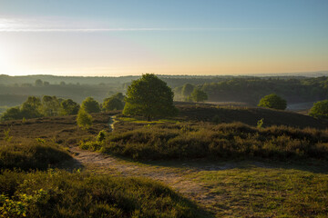 Obraz premium Spring sunrise on the Posbank