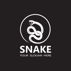 illustration of white snake isolated on black background