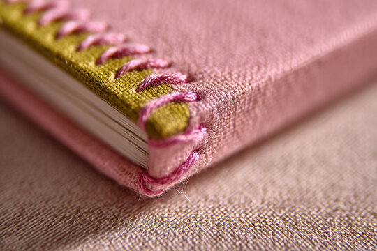 Sage-green tax form on blush-pink linen clipboard, macro close-up with soft octabox lighting, raw photographic style