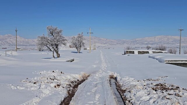 Winter landscape with a narrow snowy path, leafless trees, distant mountains, and utility poles under a clear blue sky creating a calm rural winter scene.  
📍Marivan, Kurdistan 