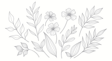 Obraz premium Elegant Botanical Line Art Collection Delicate Floral and Leafy Sprigs.