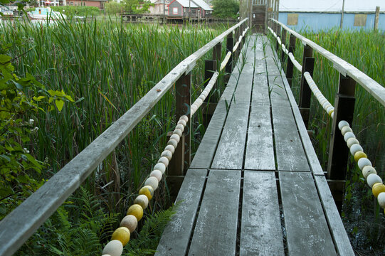 Canada, BC, Delta.  A long pier over the Ladner marsh, in the Fraser River Estuary