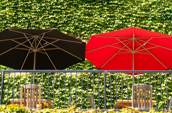 USA, California, Geyserville. Red and black table umbrellas at outdoor tables in restaurant.