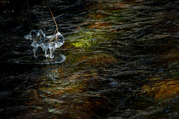 abstract ice husky dog figurine on colorful water stage © SurfyArt
