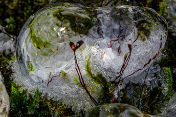 abstract clear ice shape of heart with landscape in it