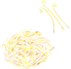 水彩で描いたもやしのイラスト　ベクター