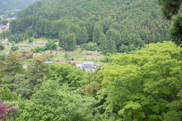 山あいに佇む静かな集落と豊かな森林