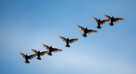 Five fighter jets flying in formation against a clear blue sky with a shallow depth of field.