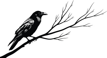 Obraz premium Black Silhouette of a Crow Raven Perched on a Bare Tree Branch Representing Nature Wildlife Mystery and Gothic Atmosphere