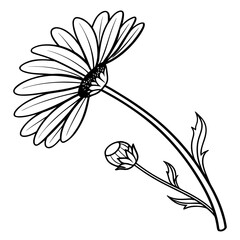 Fototapeta premium Daisy Side Profile – Modern Organic Brand 1