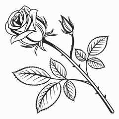 Fototapeta premium Rose Bud & Leaf Pair – Minimal Cosmetic Icon 1