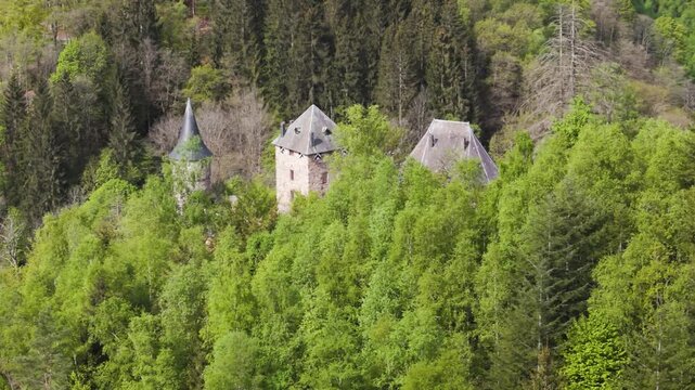 reinhardstein castle belgium nestled wooded hillside round square stone towers muted slate roofs terraced wall partially hidden by dense spring forest medieval fortress 