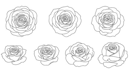 Artistic collection of seven black and white rose sketches displays the flowers from various angles including top-down and side profiles.