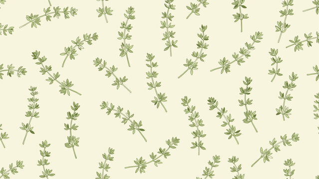 Herb pattern featuring hand drawn sprigs of green thyme scattered over a light cream colored background.