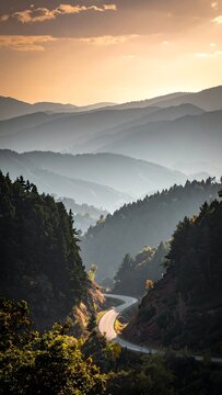 Winding road through forested valley leads to layered mountain silhouettes