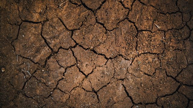 Cracked earth texture after rain in Yogyakarta, drought climate change concept