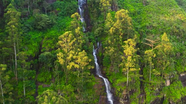 Aerial view of Waterfall in the green forest. Ramboda, Sri Lanka.