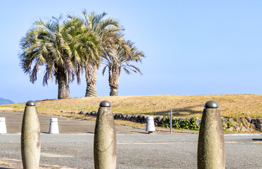 晴れた日の海岸