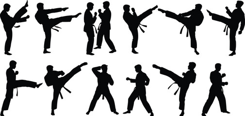 Martial arts karate fighting poses silhouettes set with athletes performing kicks and punches isolated on white background for combat sports training illustration © SreeShontusChandra