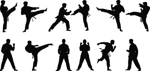 Martial arts fighter silhouettes set showing karate athletes performing kicks, punches and combat stances isolated on white background for sports training illustration © SreeShontusChandra