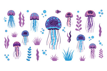 Colorful underwater illustration featuring jellyfish and seaweed with bubbles in a vibrant ocean theme design © jubayer71
