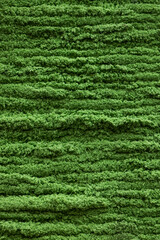 Close-up texture of green wool yarn