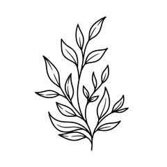 Minimalist Line Art Botanical Branch with Leaves