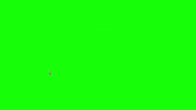 Cartoon Heart Beating Animation on Green Screen 4K.