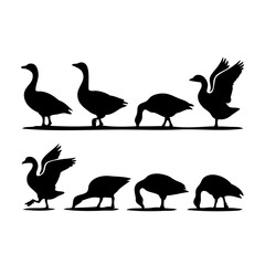 Fototapeta premium A variety of silhouettes of birds standing and flying on a flat surface