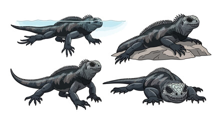 Various illustrations of lizards in different poses and environments