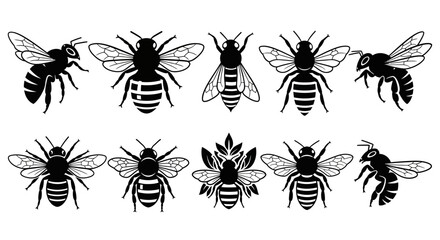 Collection of black and white bee illustrations showcasing various poses and wing positions