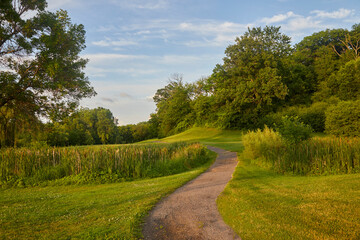 Fototapeta premium Sunlight-dappled path though a green field winding its way to a forest on a summer day