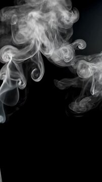 Dynamic visual of curling white smoke trails emerging against a contrasting black background, emphasizing fluidity and mesmerizing movement.