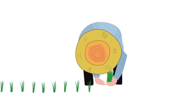 手作業で田植えをしている農家