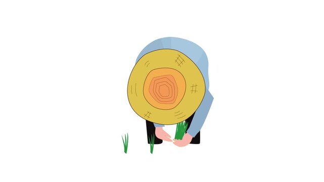 手作業で田植えをしている農家