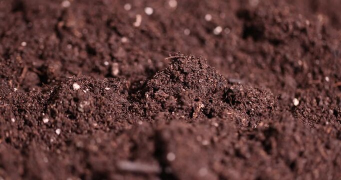 details of fertile soil mixed with peat and chernozem to improve crop quality, part of the land that is used for seedlings and for mixing with less fertile land for agriculture